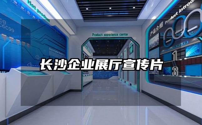 长沙企业展厅宣传片
