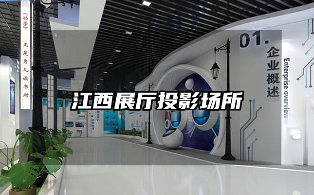 江西展厅投影场所